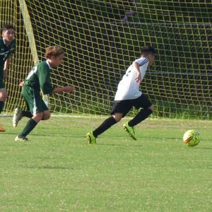 Meet your Posher, Fernando